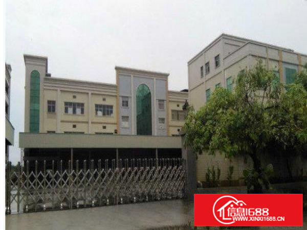 常平朗洲厂房1500平米可分租铺好地坪漆