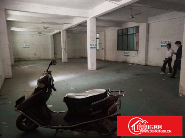 园洲镇原房东一楼500平方出租