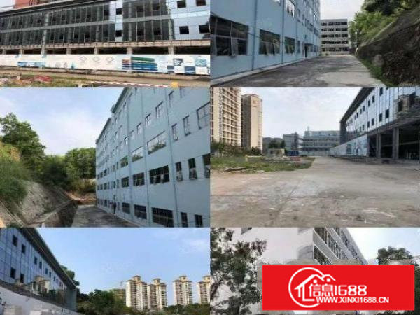 杨美地铁口独院2003000平全新改造有消防停车位足，带精装