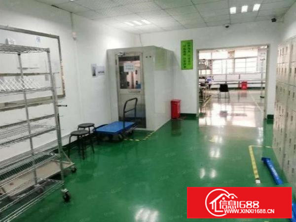 企石东平村650平米带装修红本厂房出租形象好