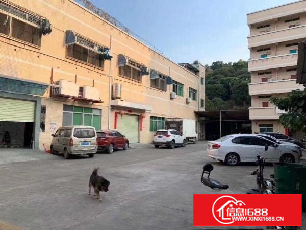 沙岭车站附近一楼原房东厂房900平（实际情况）精装修价格便宜