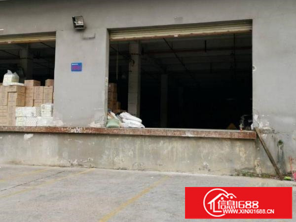 横岗精装修一楼1500平，便宜出租