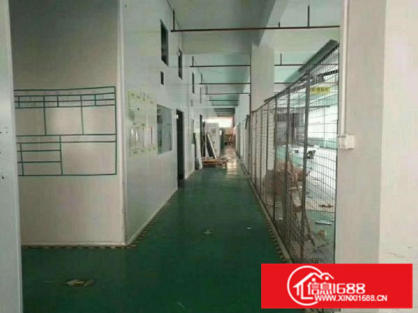 新出，华南城附近新出楼上1200平，大小可分组