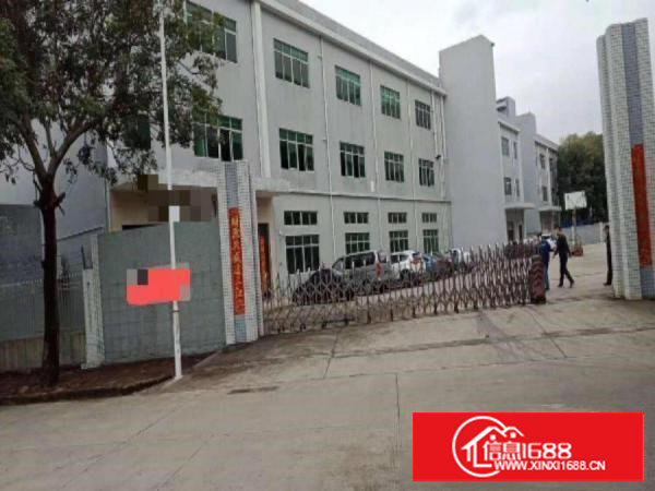 火火，业主好说话，塘厦科苑城6000平方米装修好独院厂房出租