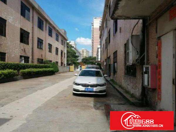 福永标准厂房一楼分租