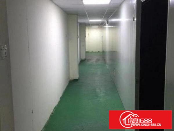 龙岗南联红本原房东楼上700平无尘车间无转让费2吨电梯