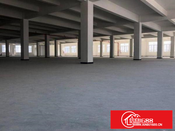 新墟楼上3500方全新厂房出租700平起分租