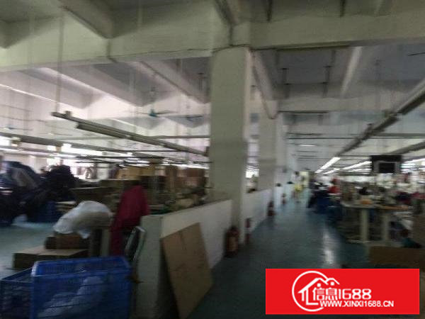 公明松柏路旁新出2/3楼1500平带装修厂房出租！