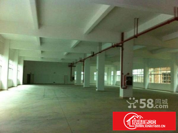 民治新出油松高新科技园2楼3楼每层1600平方