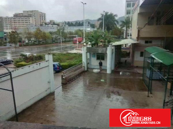 虎门标准两层独院厂房5000平方出租