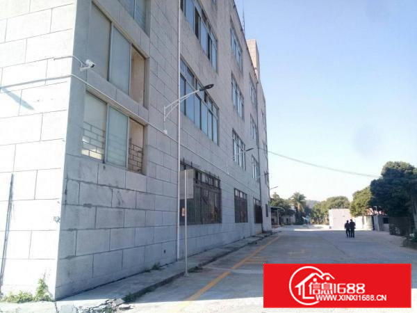 常平工业元内分租标准厂房4层16000平米