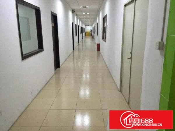 出租龙岗区坂田上雪科技园东区九号厂房