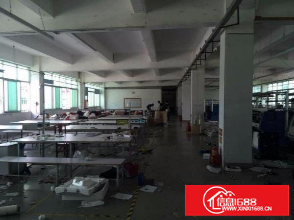原房东：沙湖4.5米高1500平方电子制衣厂房精装，毗邻深圳