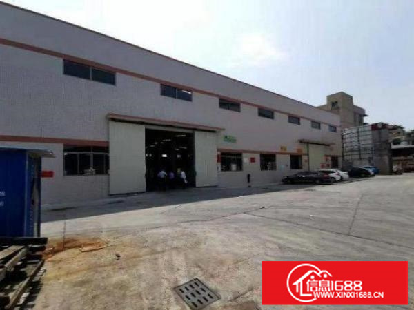 容桂海尾钢构1480平带装修厂房招租