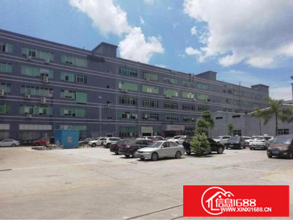 横岗四联一楼原房东1500平无公摊30元好谈