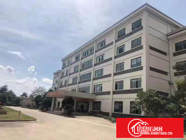 龙岗坪地原房东厂房适合高新产业电子贸易科技医疗研发等