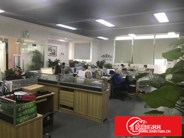 坂田原房东1280平1680平，红本面积出租，无公摊！