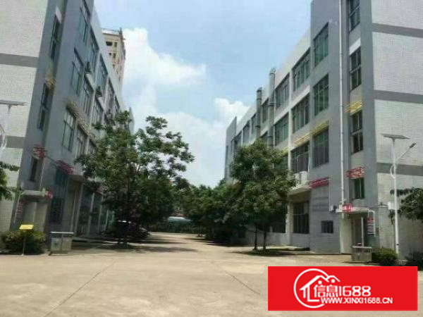 坪山大工业区整层1780平米带豪装，免转让费出租