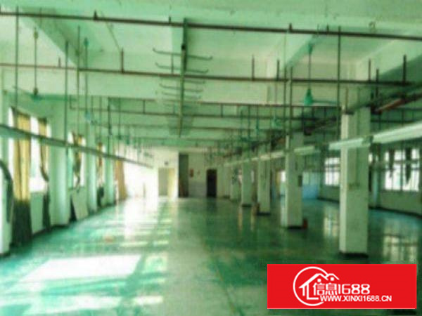 万江带现成装修标准一楼600平方招租2间办公室装修，现成水电