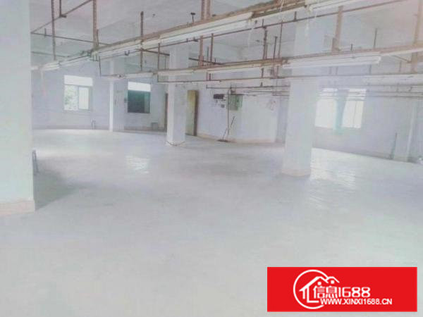 茶山横江独栋小厂房，合适做制衣玩具。