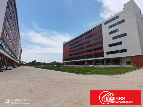 国有红本全新厂房12万平出租,可分租