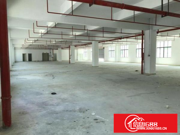 惠州新圩长布有独栋厂房出租！