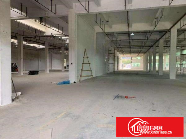 区田寮带精装修800平米厂房（本人原房东非中介）