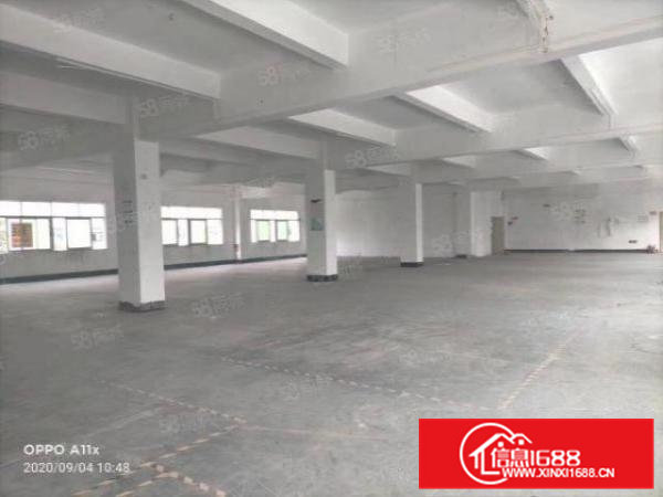 金凤凰新出8000平厂房出租可分租水电气齐全