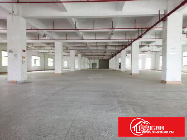 万江大汾工业区新出原房东独门独院厂房6000平方