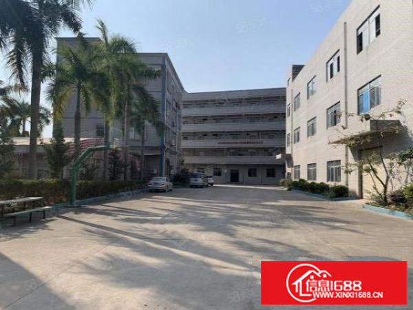 黄江镇新出原房东标准独院11000平带消防喷淋红本厂房