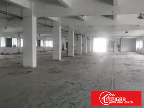 谢岗新出独门独院标准厂房9600平方