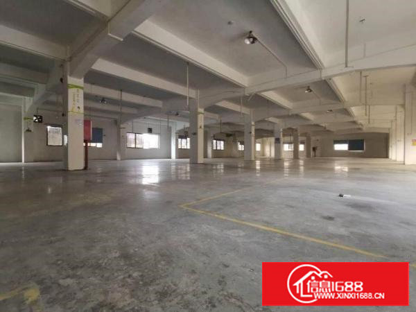 大坪真实1000平方米有排污证2楼厂房招租