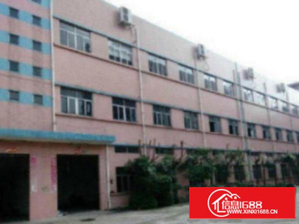 滘联新出原房东标准一楼1000平米厂房招租