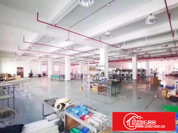 长巷标准小独院厂房三层3800平方