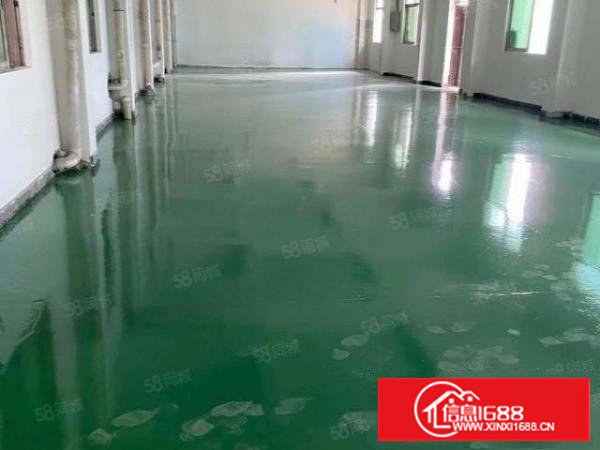 塘厦石鼓标准一楼750平！地坪漆精装修，天花吊顶！