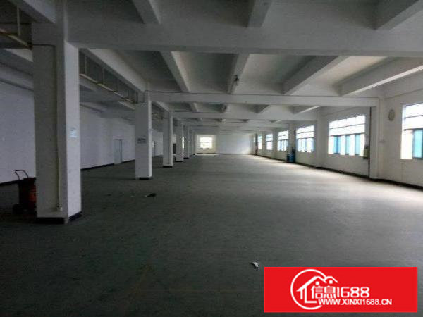 松岗塘下涌5600平大厂房出租,独门独院,实图