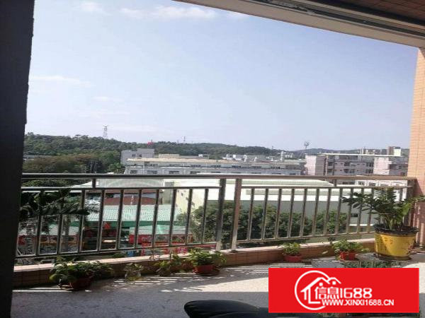 出租黄江镇北岸社区250平米带电梯