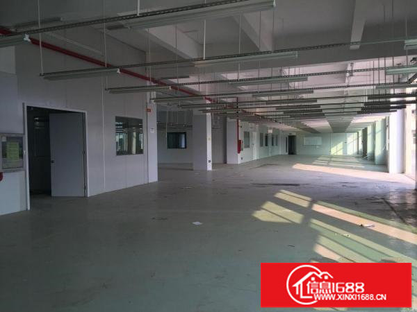 龙岗吉祥地铁站龙腾工业区独院厂房6600平米可分租