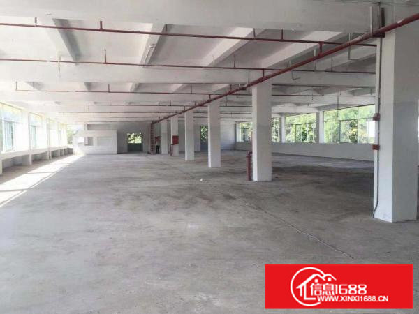 小独院厂房出租凤岗天堂围近观兰大小可分租