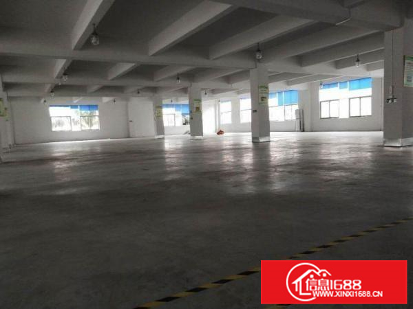 容桂标准1850方，厂房方正实用，采光好，进车方便