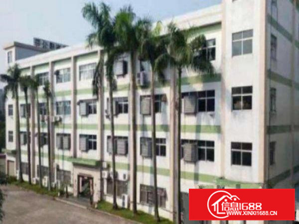 高埗工业园区分租一整层1800平方现成装修水电齐全无公摊