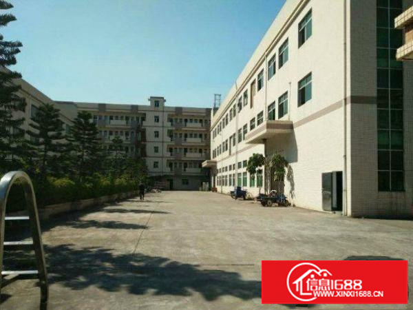 平湖新木村委一楼1000平方米标准厂房原房东急租