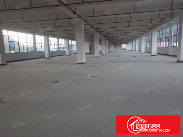 三中新出1200平标准厂房，格局方正，公摊小，急租！！
