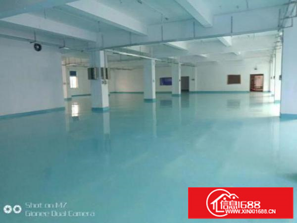 西乡独院厂房1-3层6000平米招租