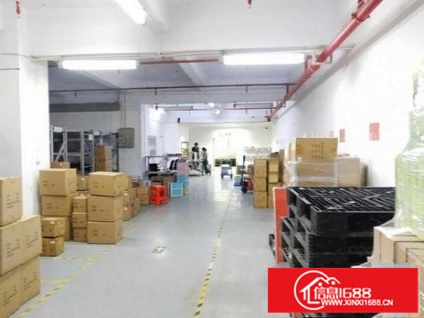 桥头迳联社区新出楼上厂房1300平出租，带精装修