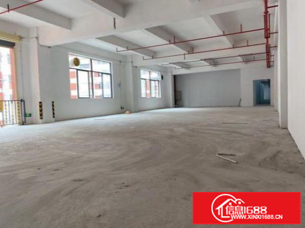 容桂华腾工业城（新出，可做污染行业）