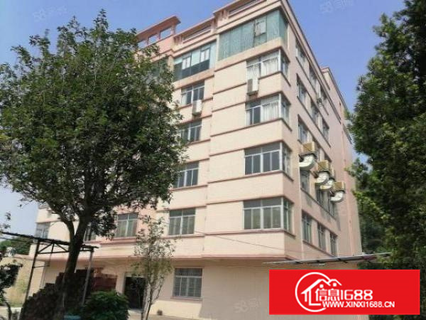 近高速，可办环评，形象靓，顺德杏坛6500平方标准厂房出租