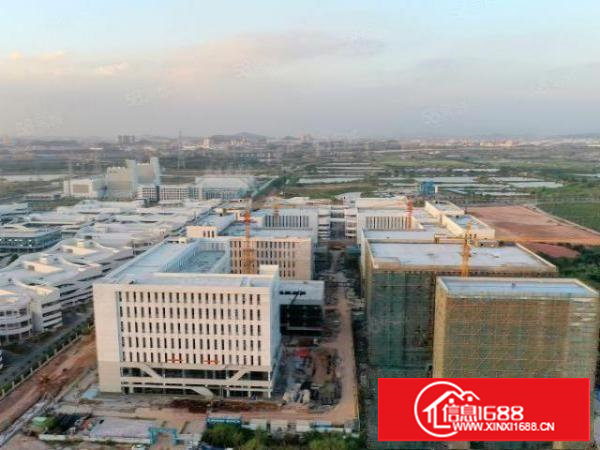 国企红本原房东~全新高层厂房~可分层可整租