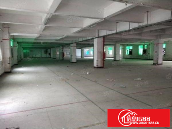 横岗六约牛始埔村新出村委一楼1100平方价格低至25元