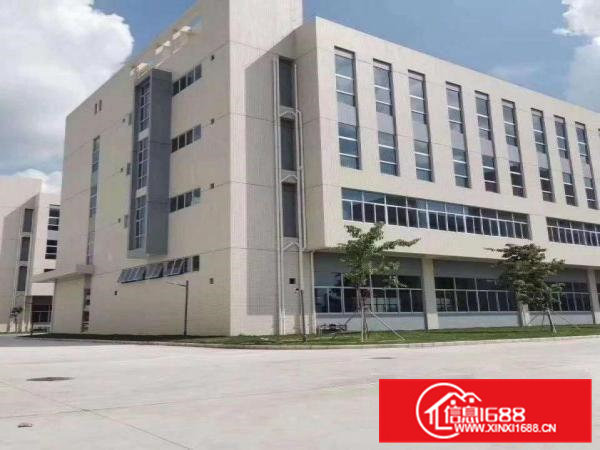 茶山镇原房东独门独院厂房